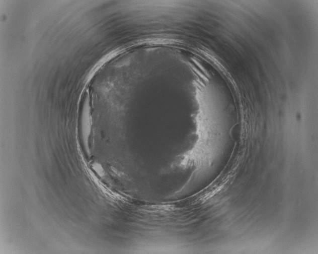 X0000055510853200509091340