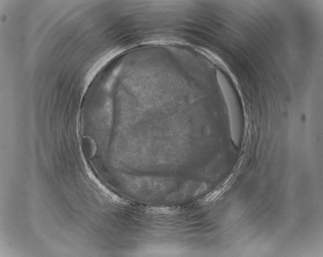 X0000055510855200509091340