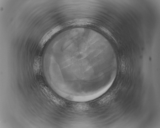 X0000055510874200509091340