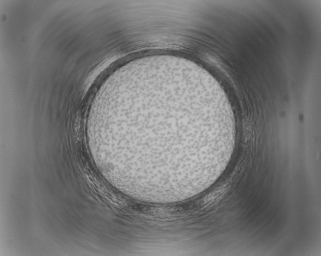 X0000055510875200509091340