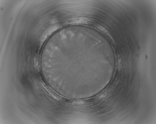 X0000055510882200509091339