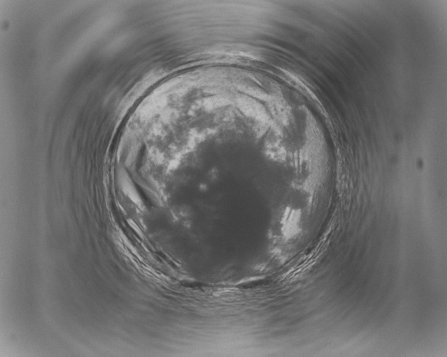 X0000055510899200509091339