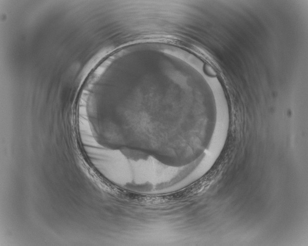 X0000055510907200509091339