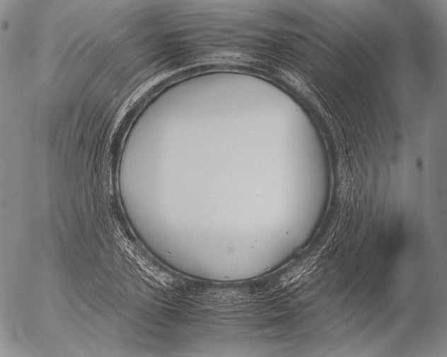 X0000055510931200509091338