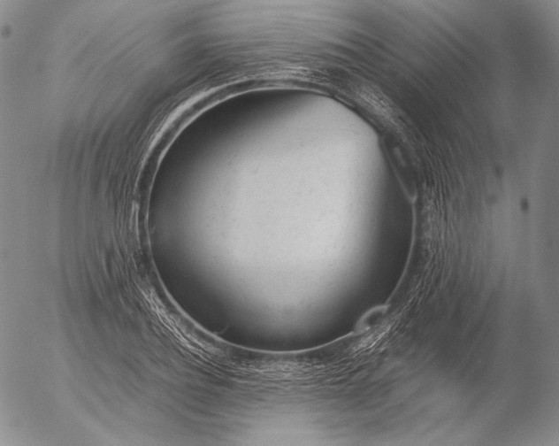 X0000055510932200509091338