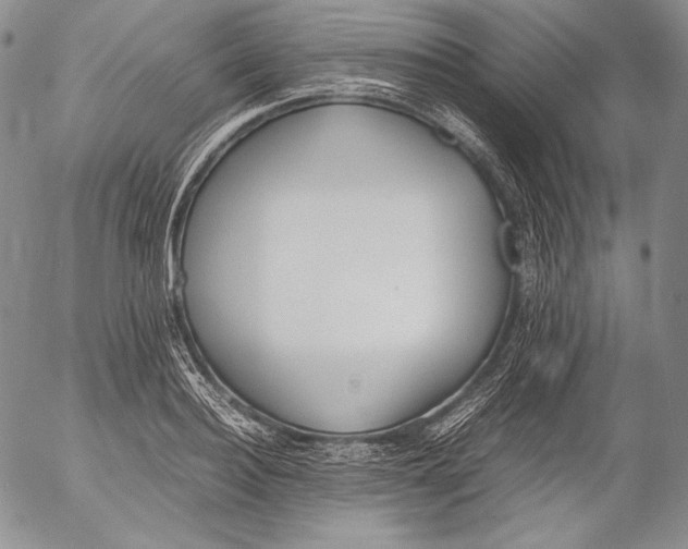 X0000055510940200509091339