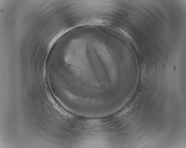 X0000055510944200509091339
