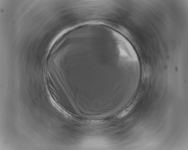X0000055510958200509091339