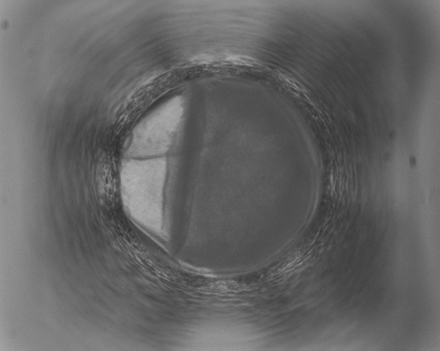 X0000055510966200509091338