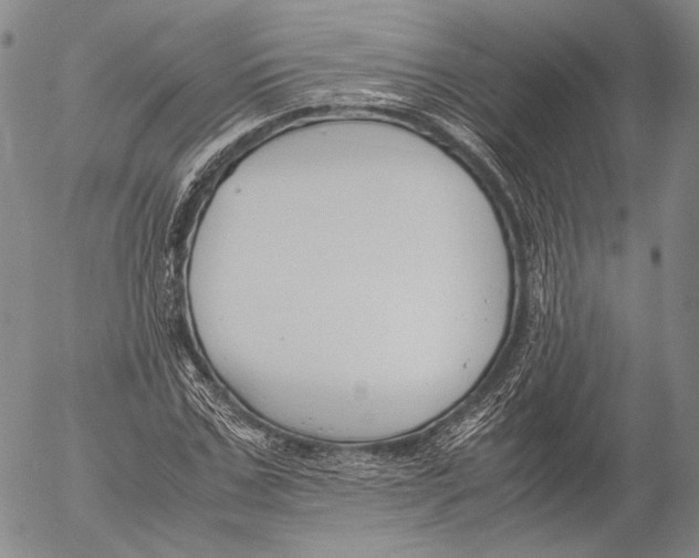 X0000055510971200509091338