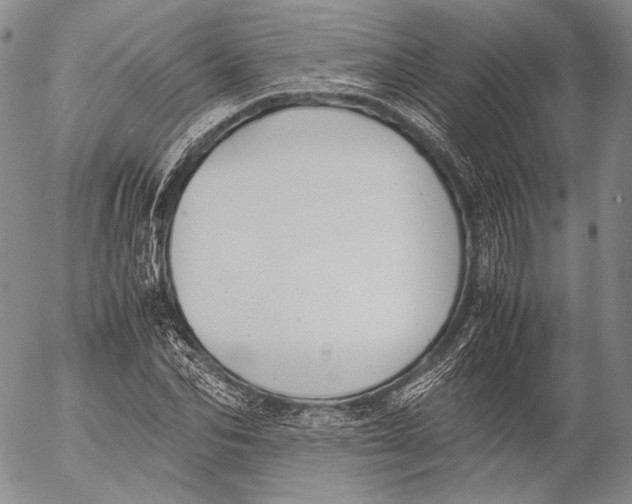 X0000055510974200509091338
