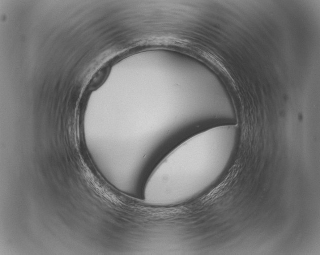 X0000055510984200509091338