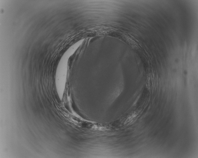 X0000055511010200509091337