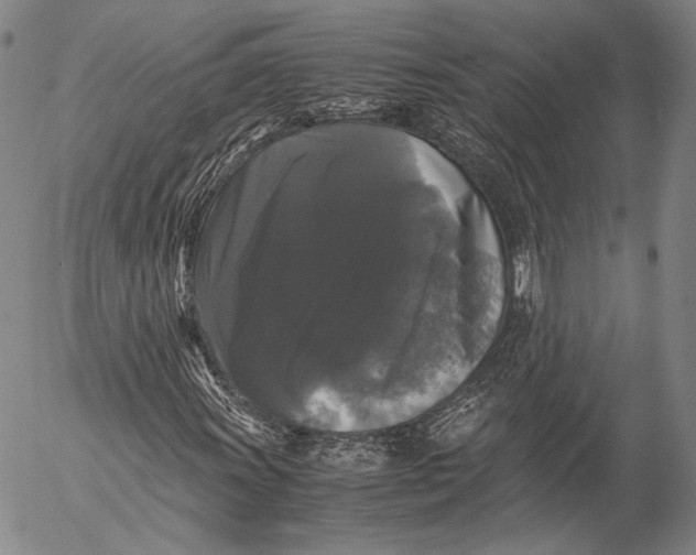 X0000055511011200509091337