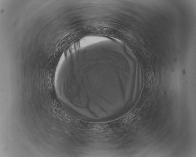 X0000055511013200509091337