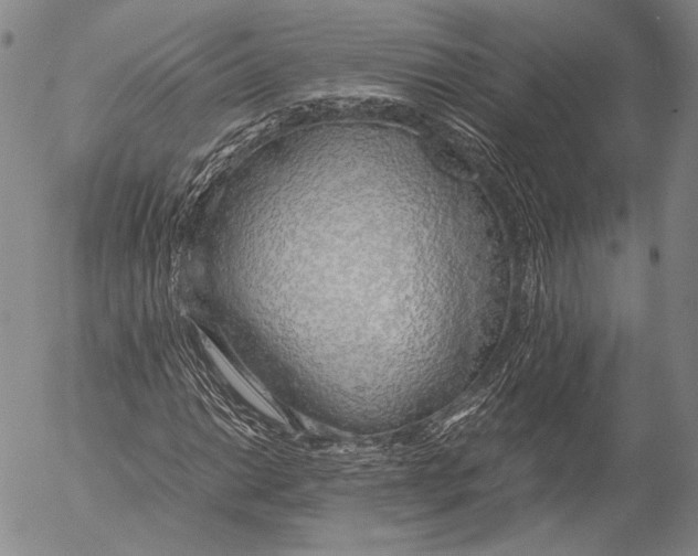 X0000055511014200509091337
