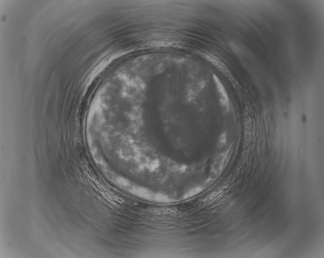 X0000055511023200509091337