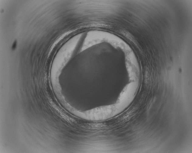 X0000055511024200509091337