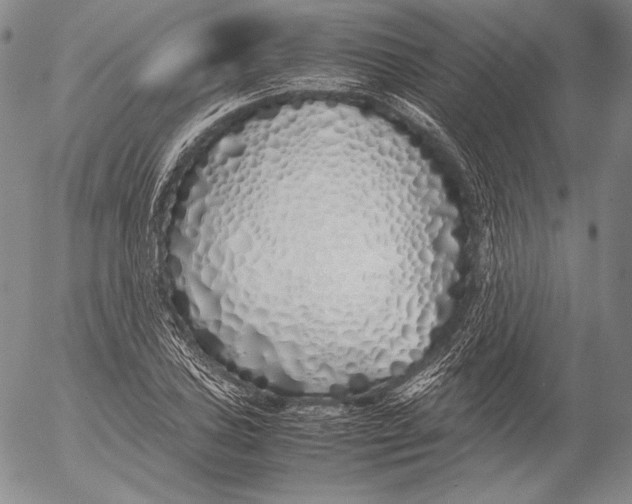 X0000055511027200509091337