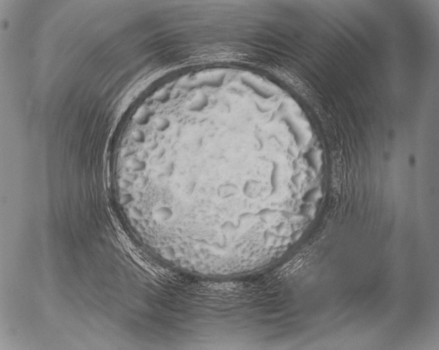 X0000055511031200509091337