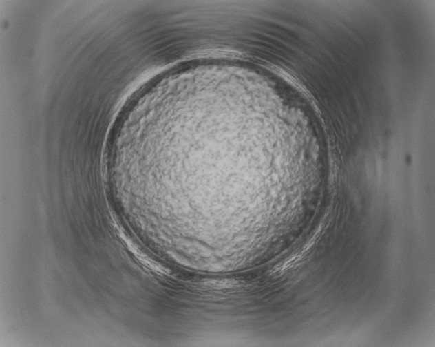 X0000055511037200509091337