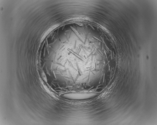 X0000055511042200509091337