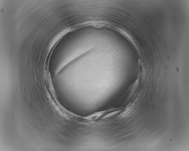 X0000055511050200509091337