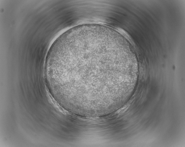 X0000055511052200509091337