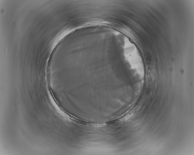 X0000055511055200509091337