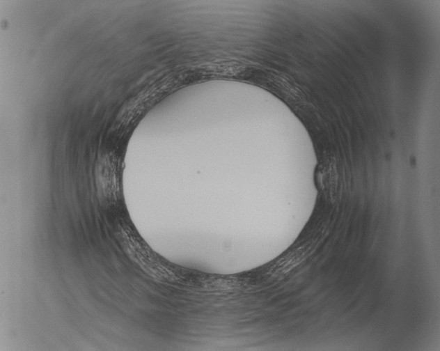 X0000055511058200509091336