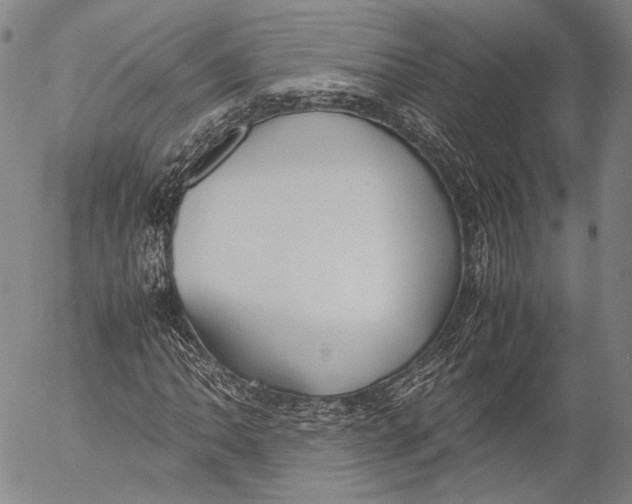 X0000055511062200509091336