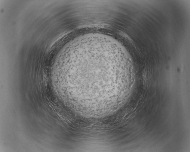 X0000055511064200509091336