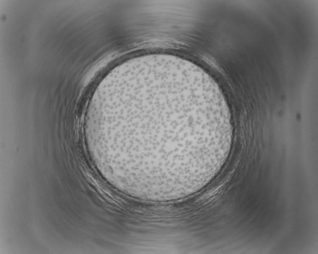 X0000055511067200509091336