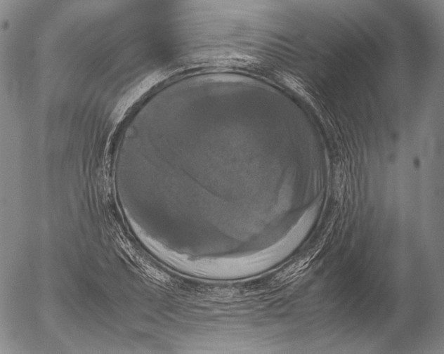 X0000055511071200509091336