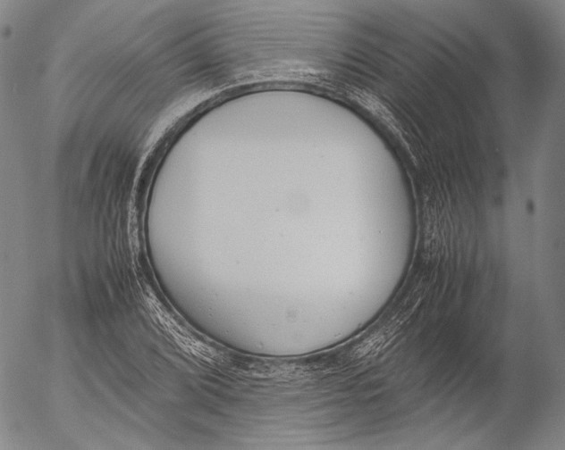 X0000055511072200509091336