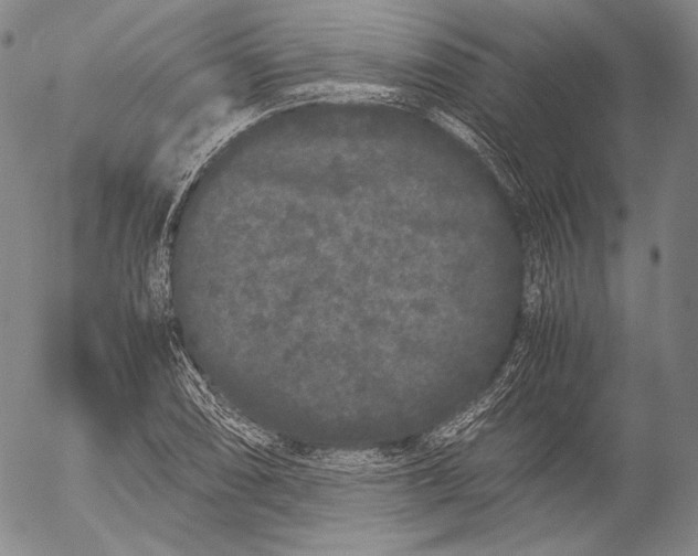 X0000055511074200509091336