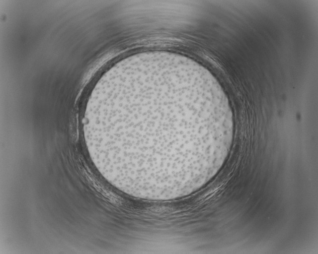 X0000055511075200509091336