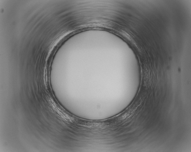 X0000055511076200509091336