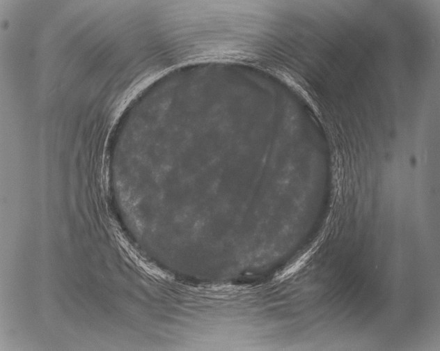X0000055511077200509091336