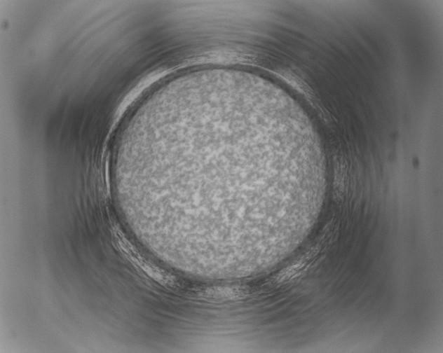X0000055511078200509091336
