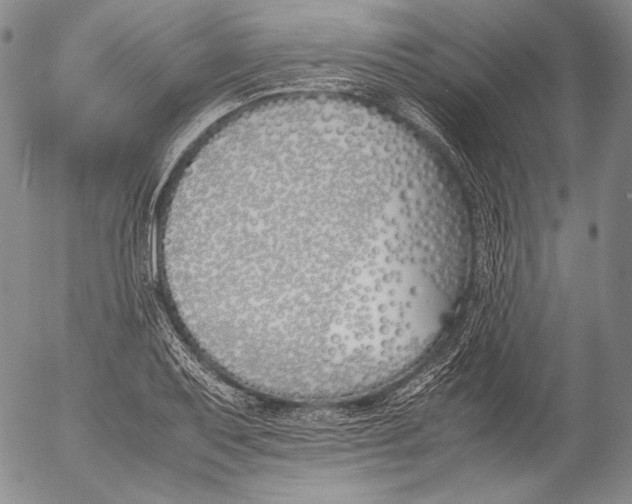 X0000055511079200509091336