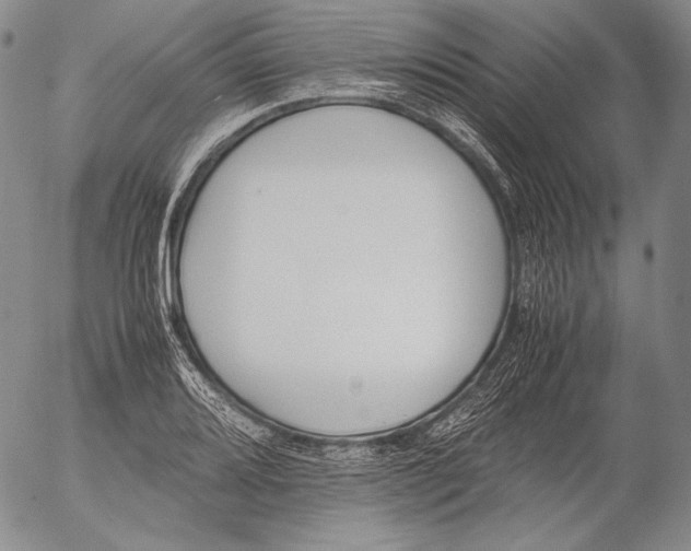 X0000055511080200509091336