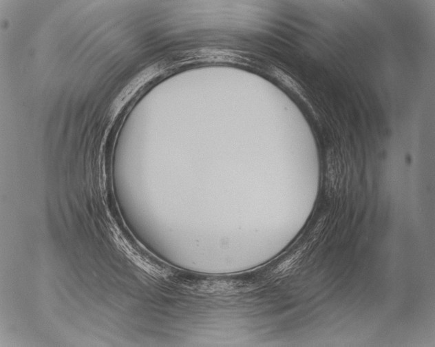 X0000055511082200509091336