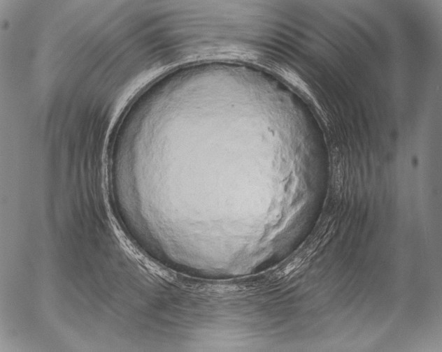 X0000055511088200509091336