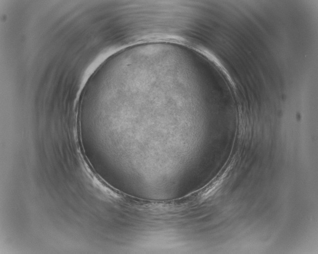 X0000055511102200509091336