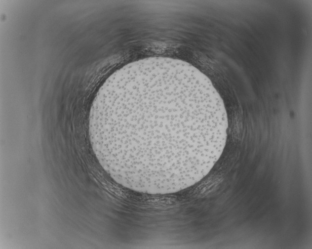 X0000055511105200509091335