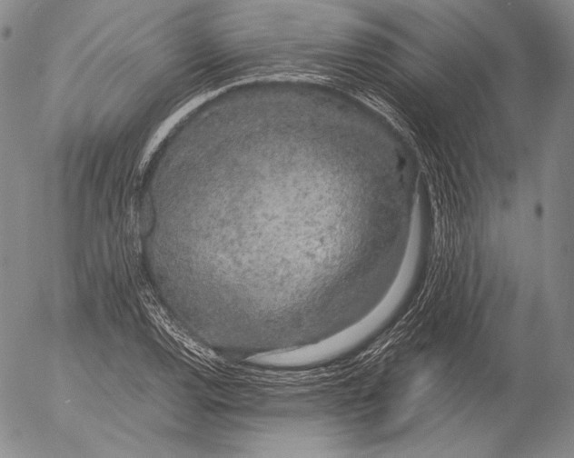X0000055511120200509091335