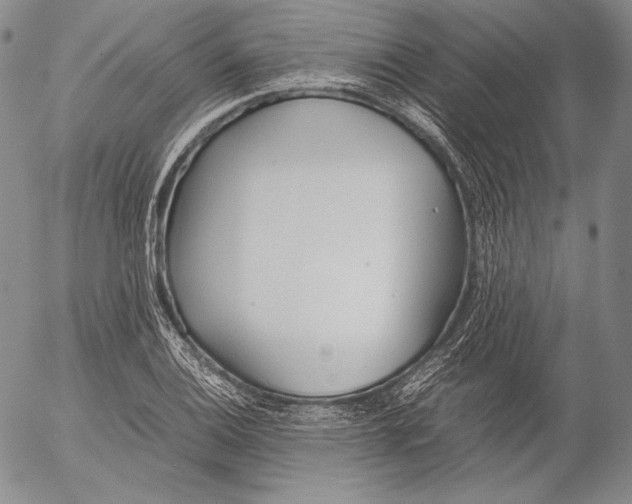 X0000055511124200509091335