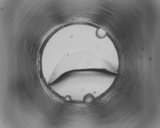 X0000055511126200509091335