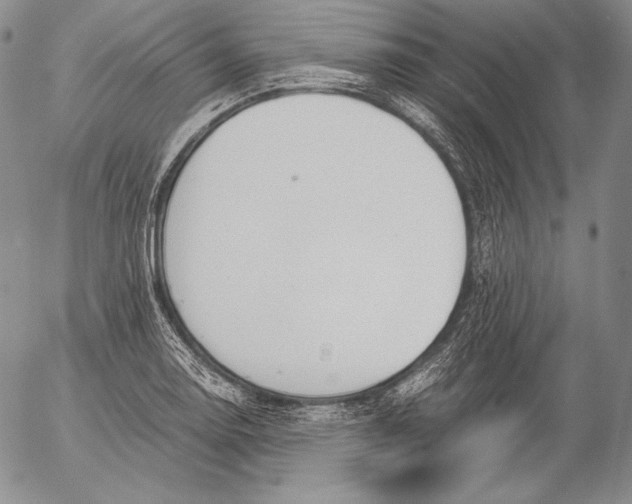 X0000055511130200509091335